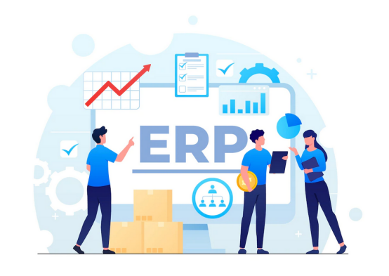 Designated development of erp system